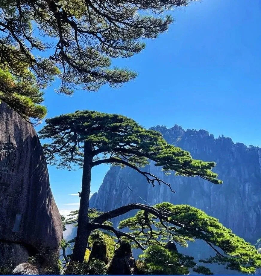 热烈庆祝宝莱尔（中国）2025年Q3会议圆满落幕！！！