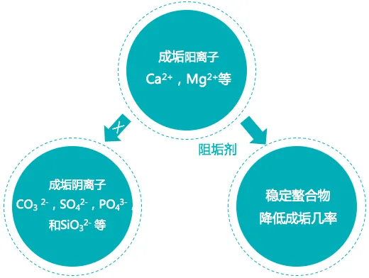 宝莱尔反渗透阻垢剂TRISPE 1200 涉水批件 英国POLYMER品牌 厂家直供 价格面议示例图1
