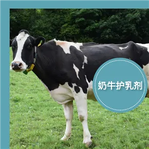 POL YTE® CB101畜牧清洁奶牛护乳剂 宝莱尔